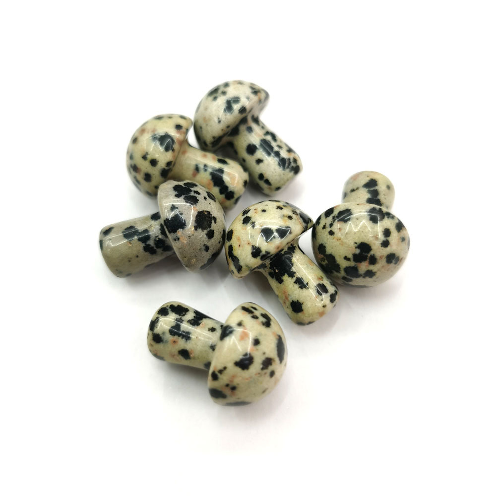 14 dalmatian