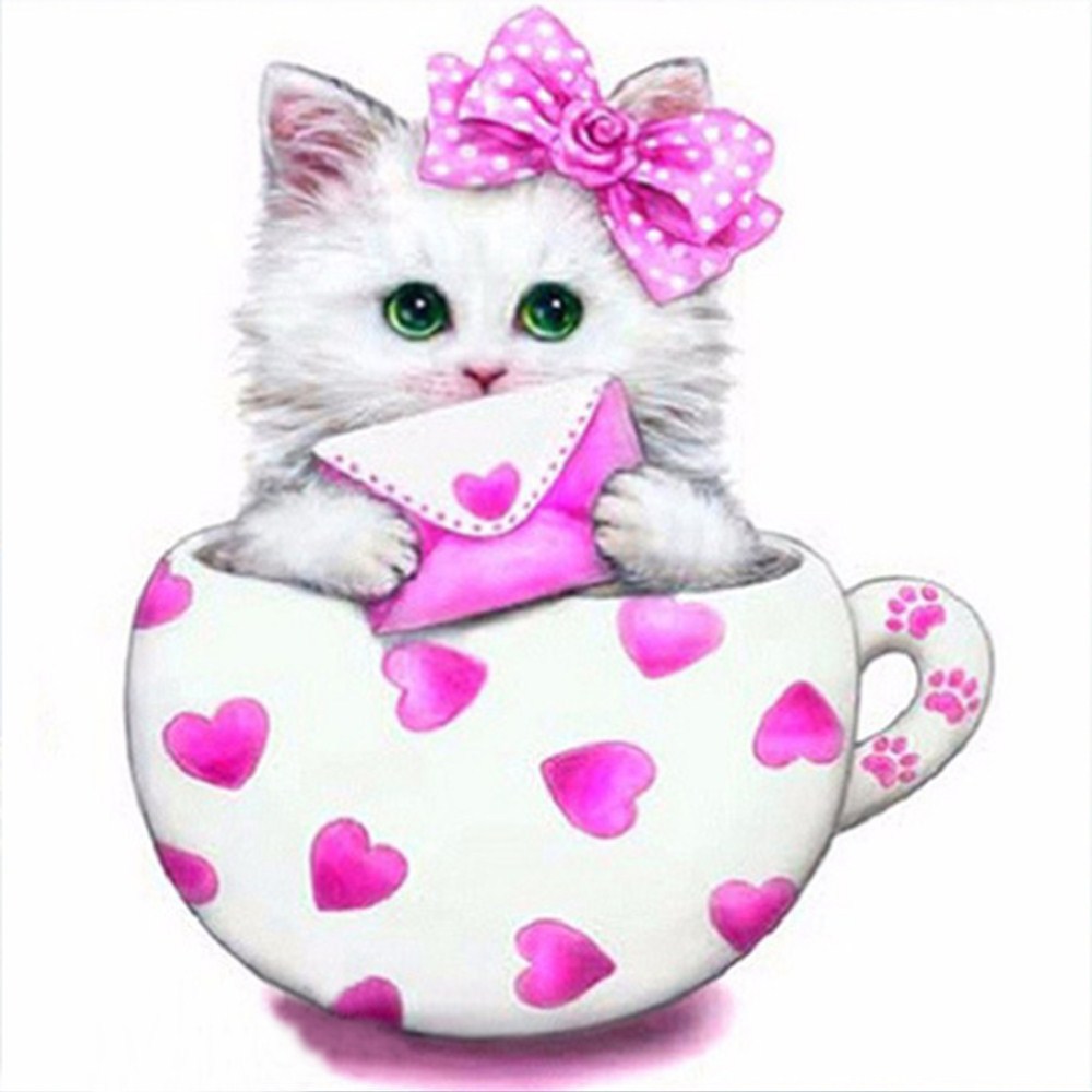 Pink cat