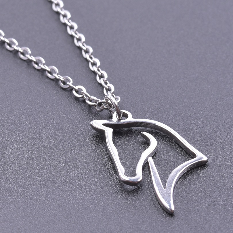 steel color necklace