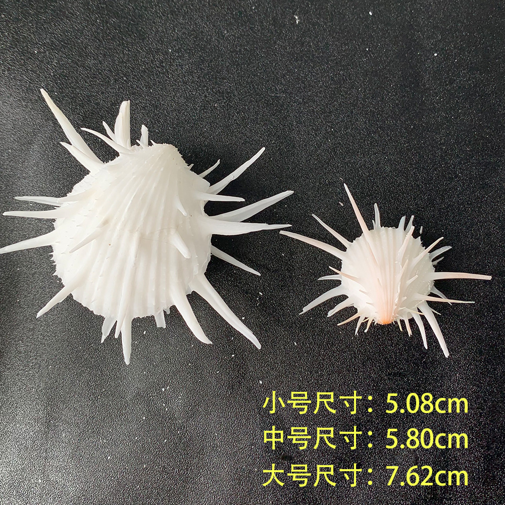 4-6cm