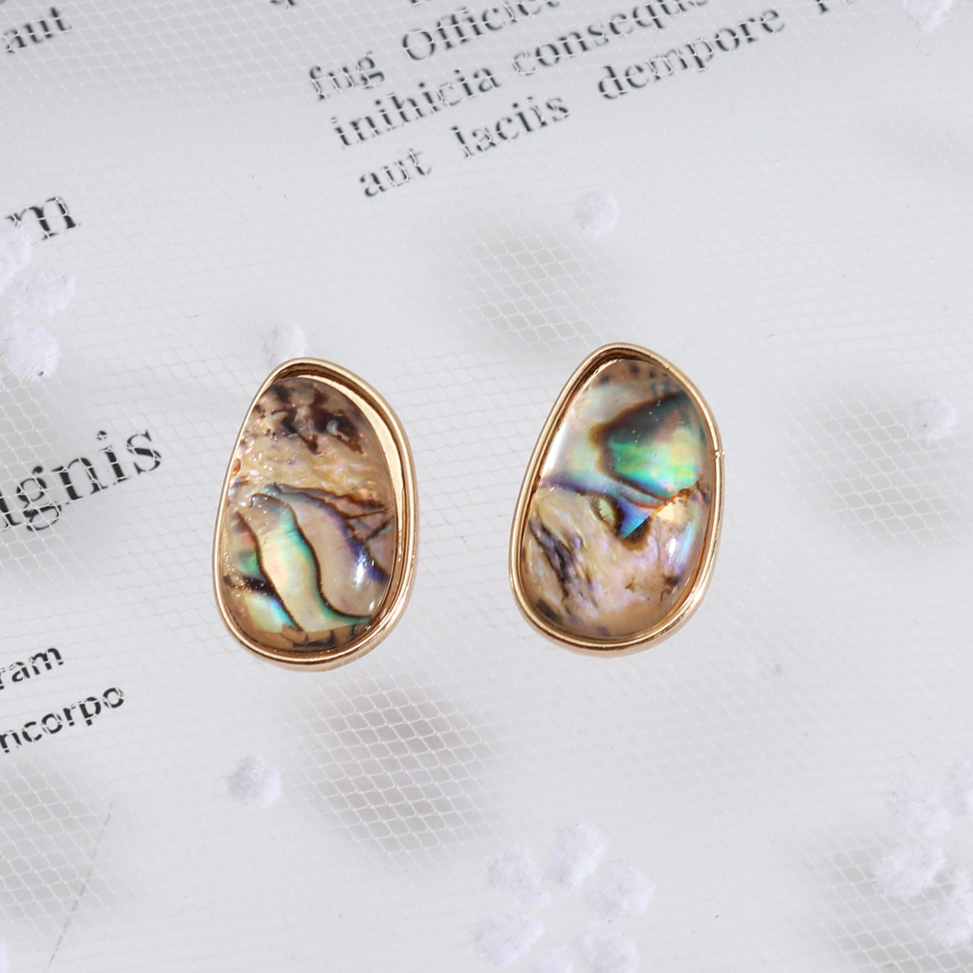 1:abalone shell