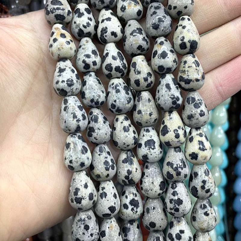 dalmatian 6 * 9mm about 44 teeth