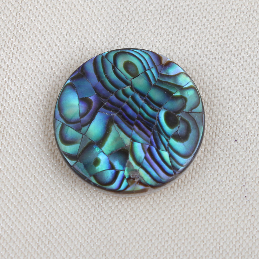 2:abalone shell