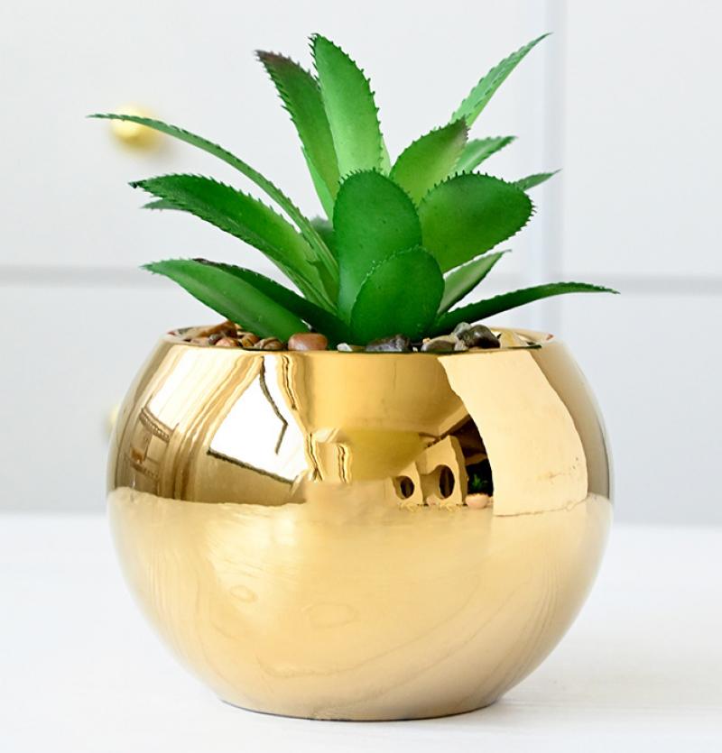 Golden Globe (no plants) -97 * 67 mm