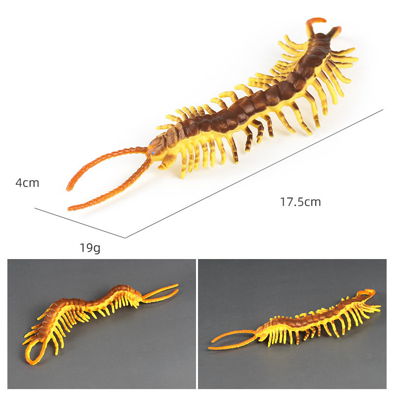 centipede