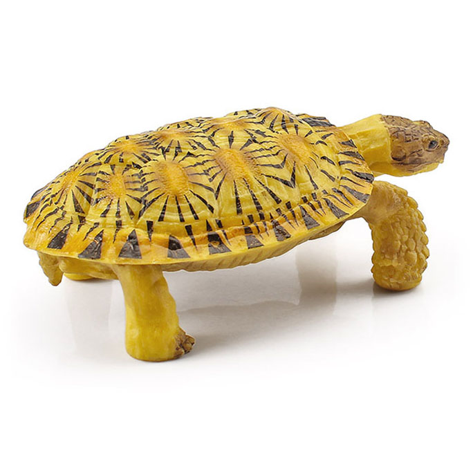 T15443 Cookie Tortoises