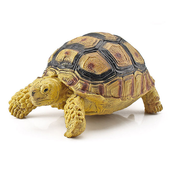 T15445 Leopard tortoises