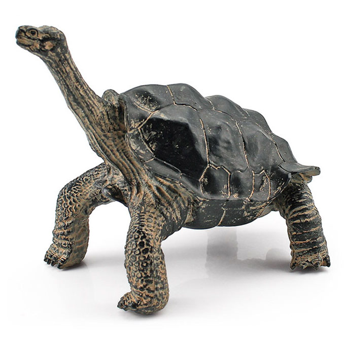 T15449 Elephant turtle