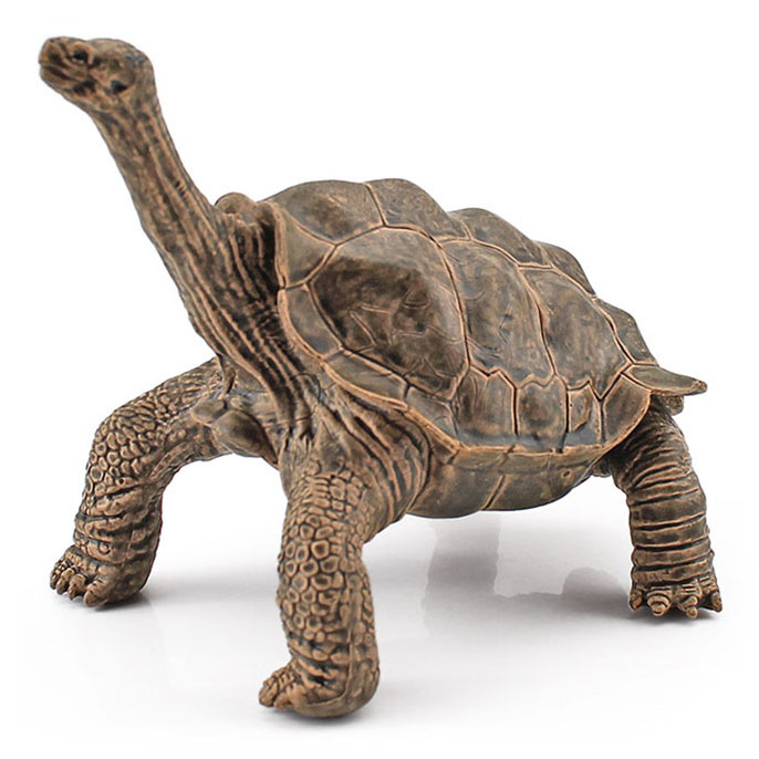 T15450 Elephant turtle