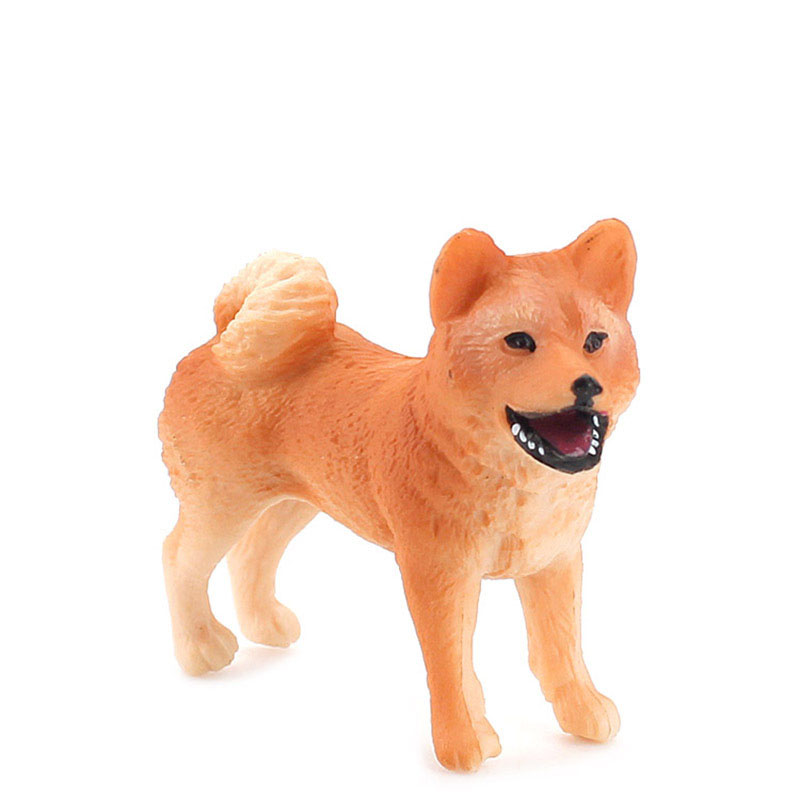 Shiba inu