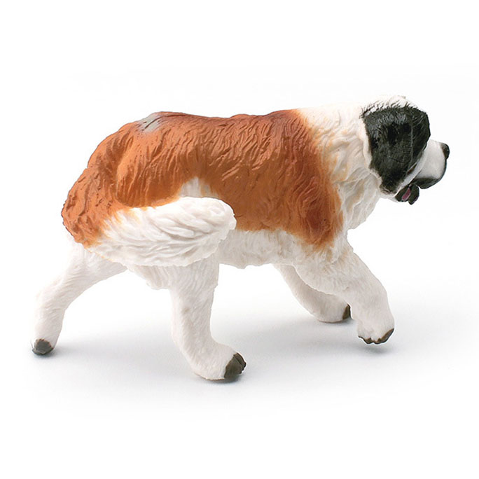 Saint Bernard