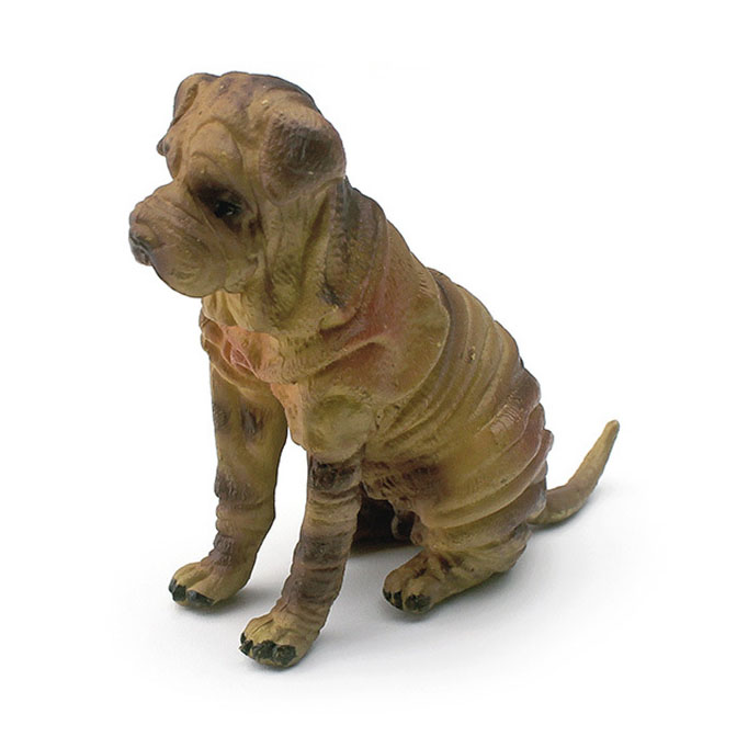 Chinese Shar-pei