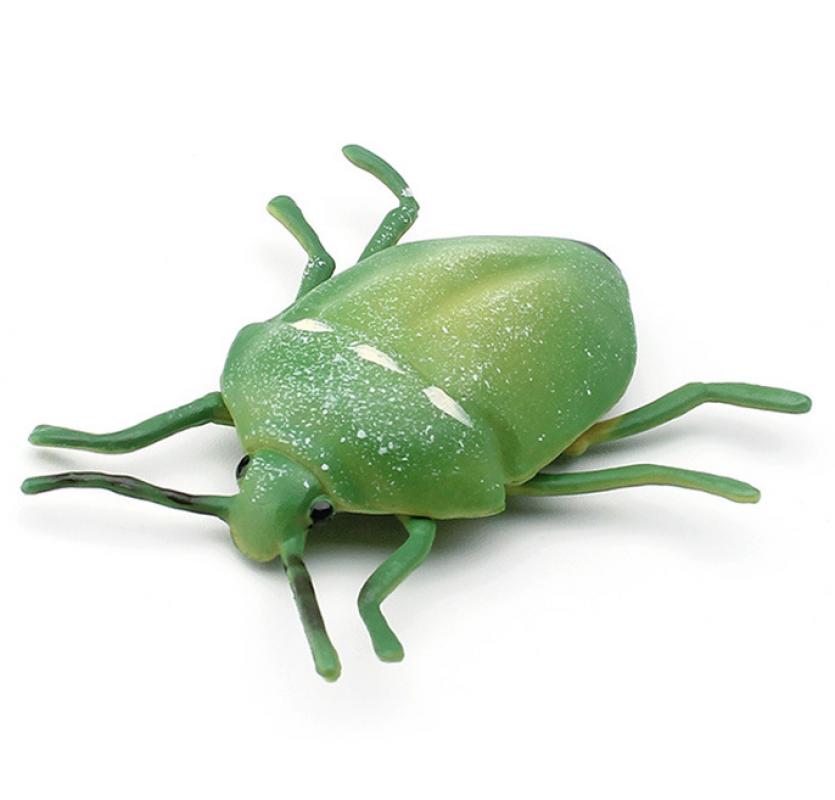 PL127-1943 Shield bug