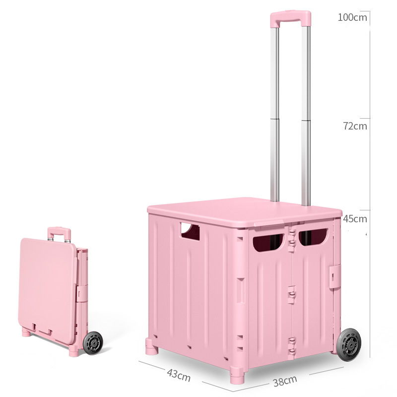 65L 2wheel pink