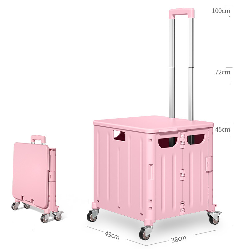 65L 4wheel pink