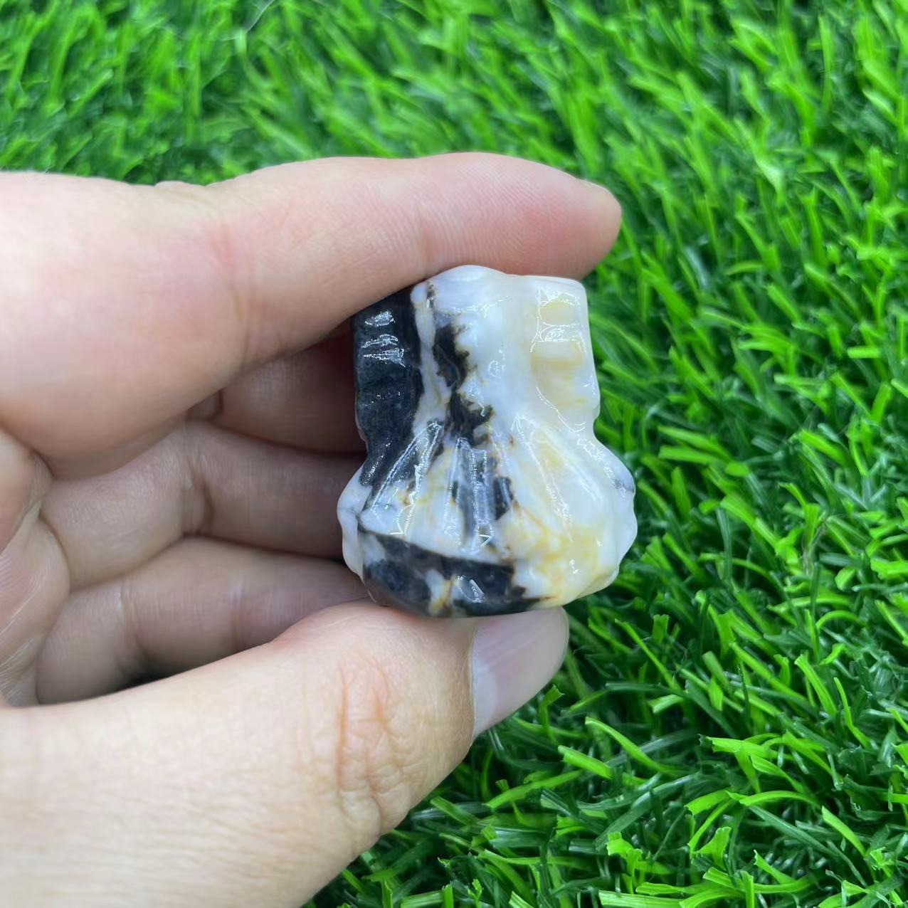 11:Zebra Jasper