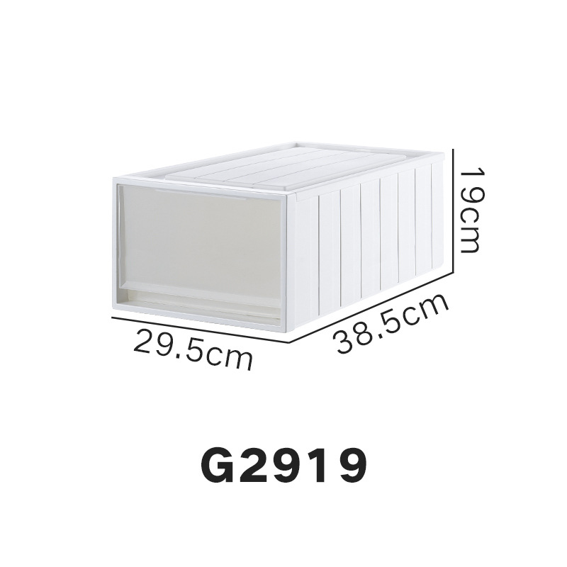 G2919