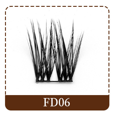 FD06