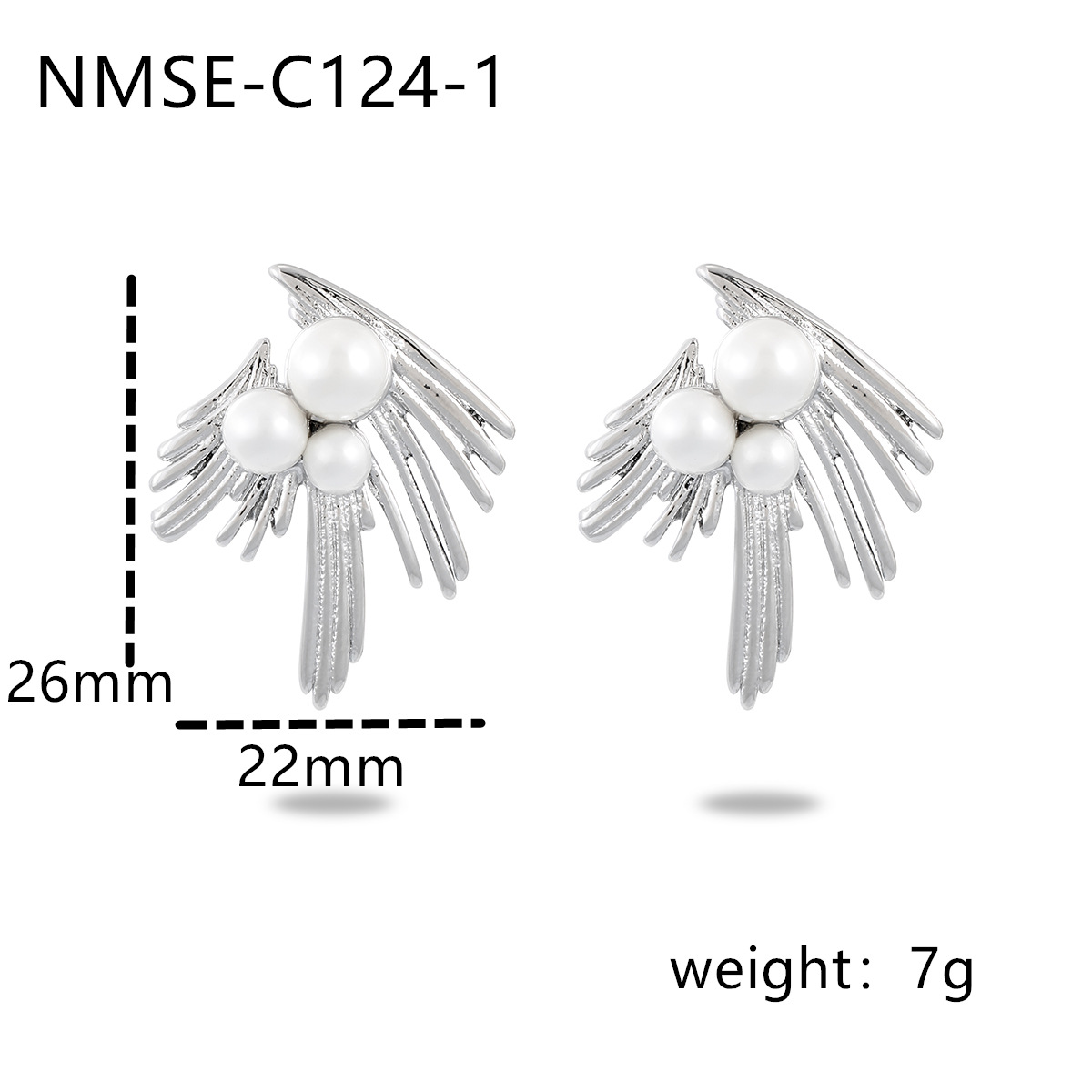 3:NMSE-C124-1