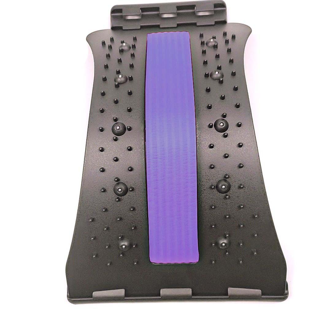 Magnetic lumbar spine apparatus purple