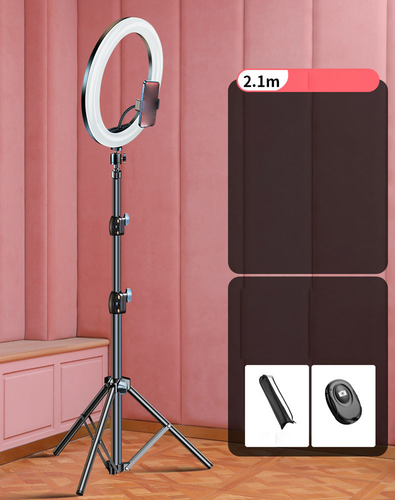 13 inch AR light - Single position -2.1M stand