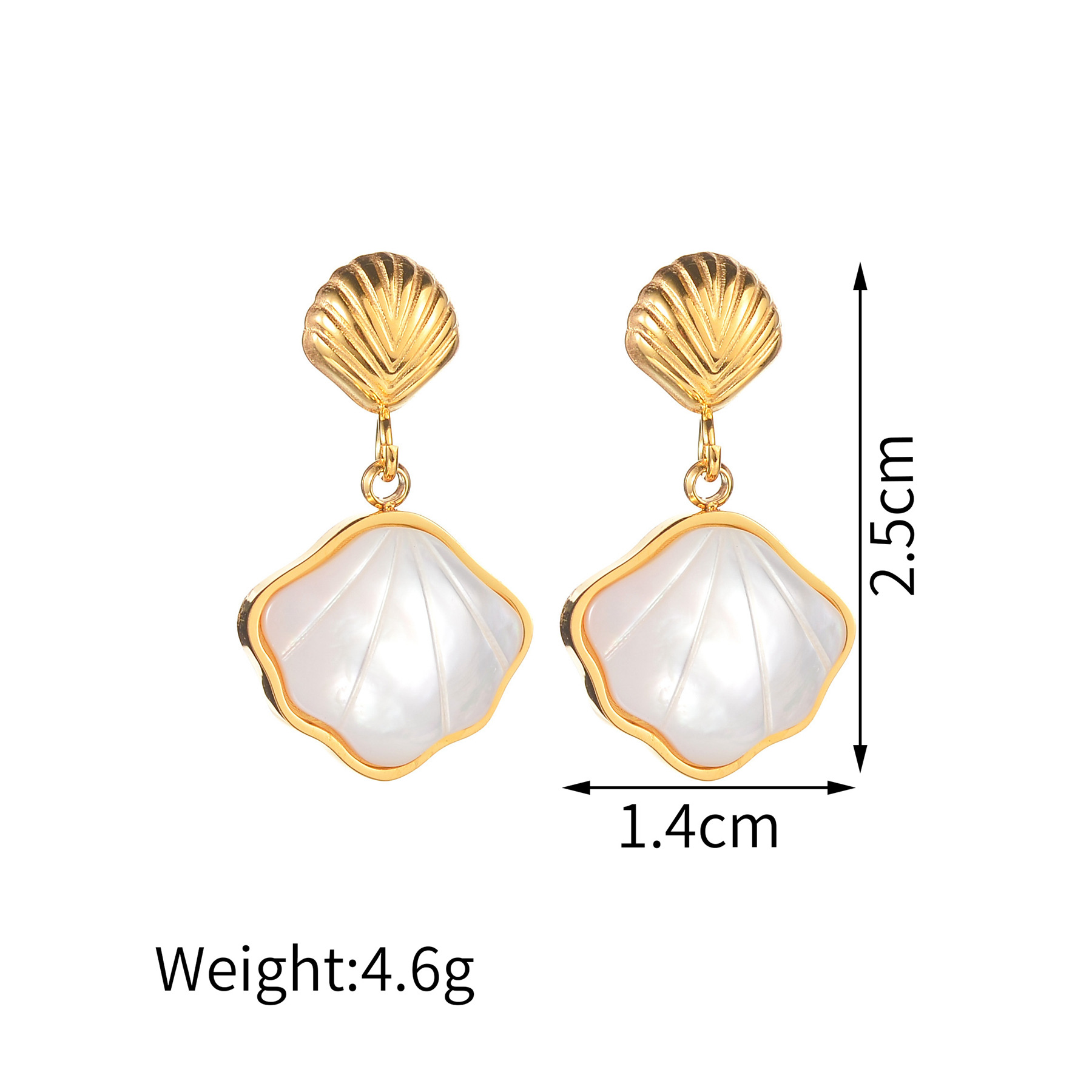 Stereoscopic shell earrings