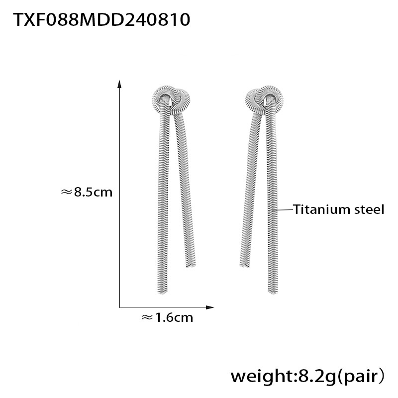 Steel earrings