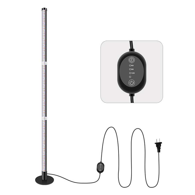 Three sections   floor disk   timing switch