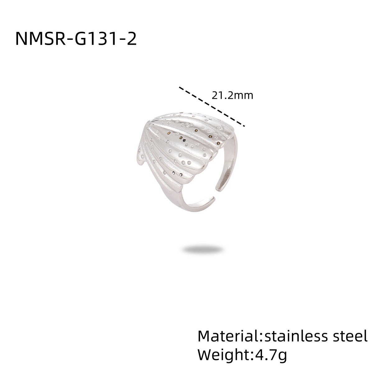 10:NMSR-G131-2