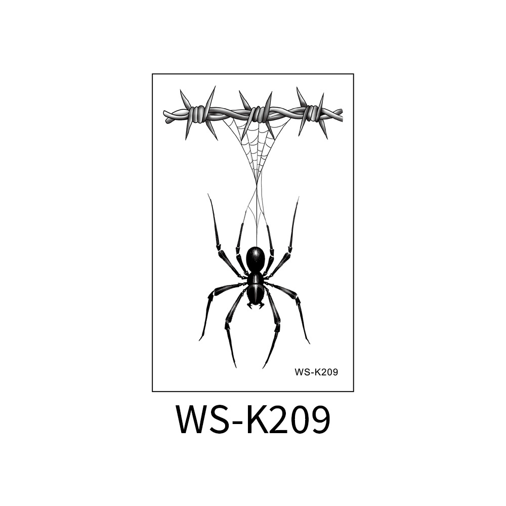 WS-K209