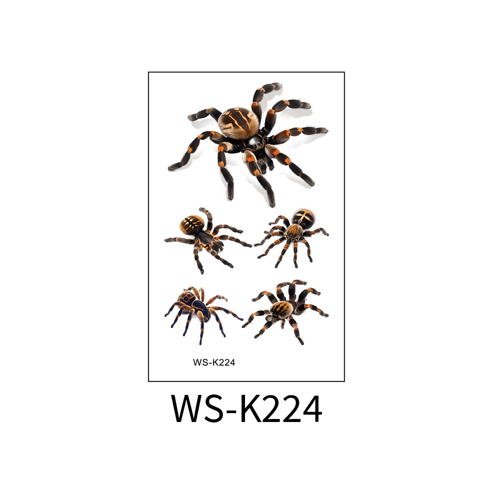 WS-K224