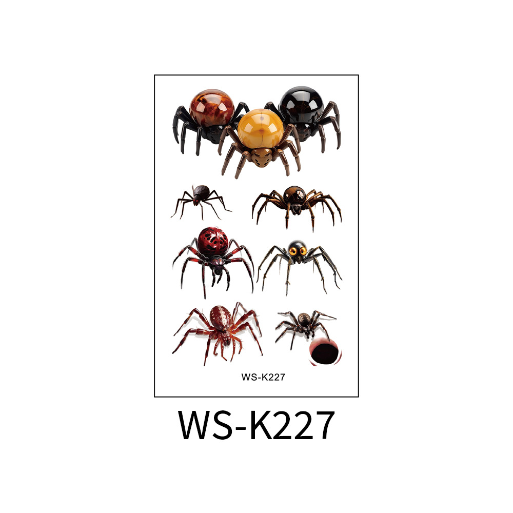 WS-K227