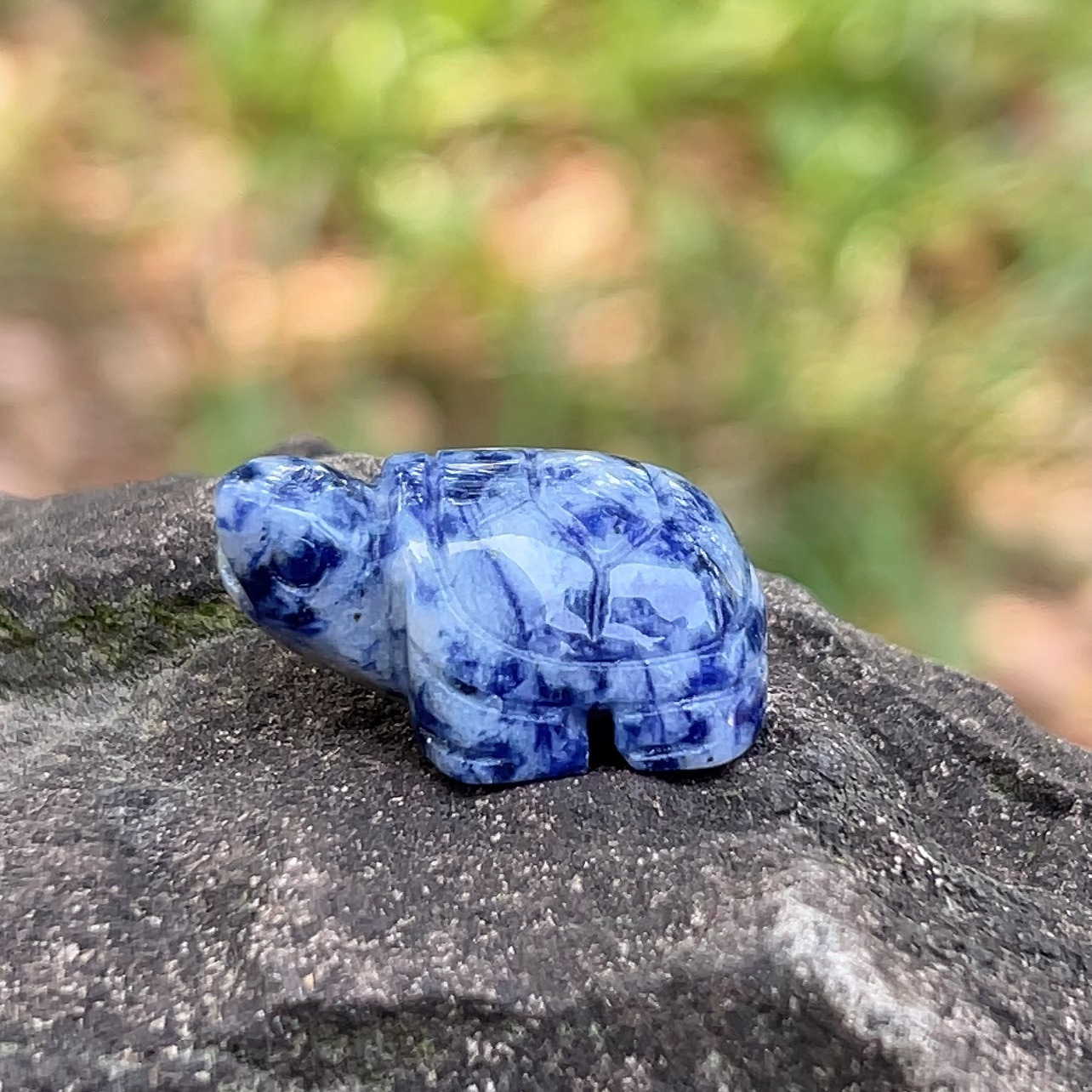 12 piedra de punto azul