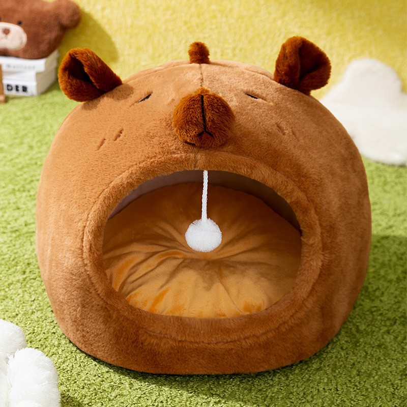 Cute capybara