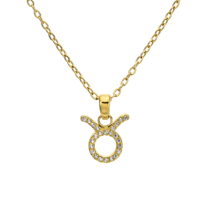 15:18k gold (taurus) necklace