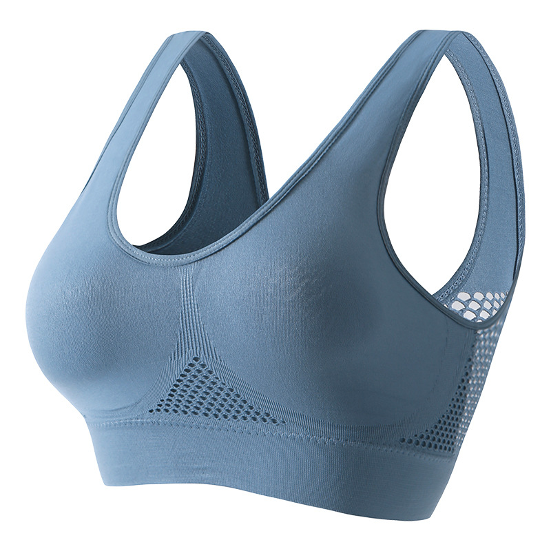 Blue-with chest pad