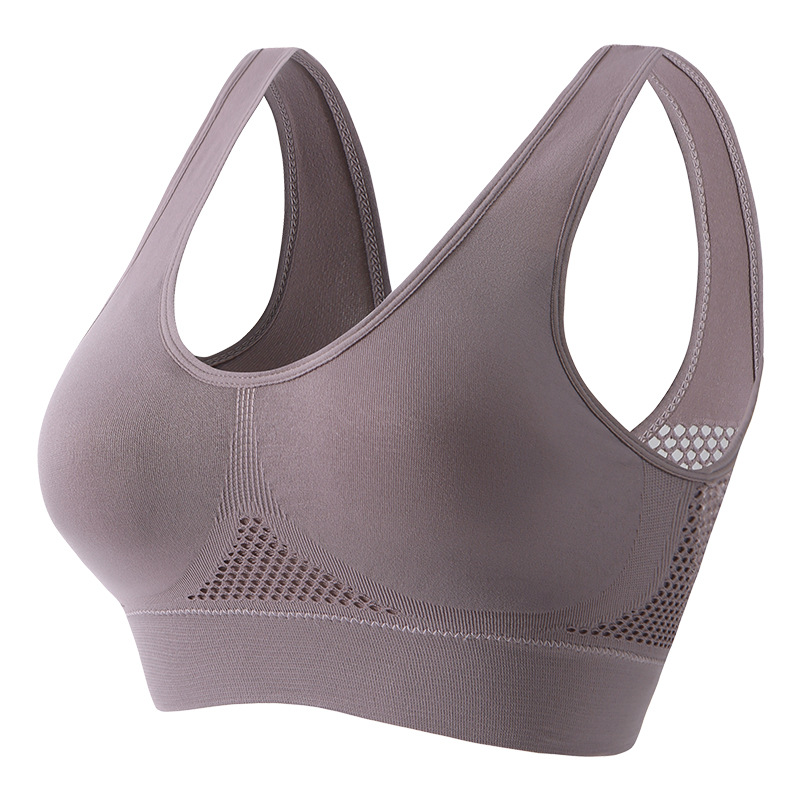 Purple Grey-with chest pad