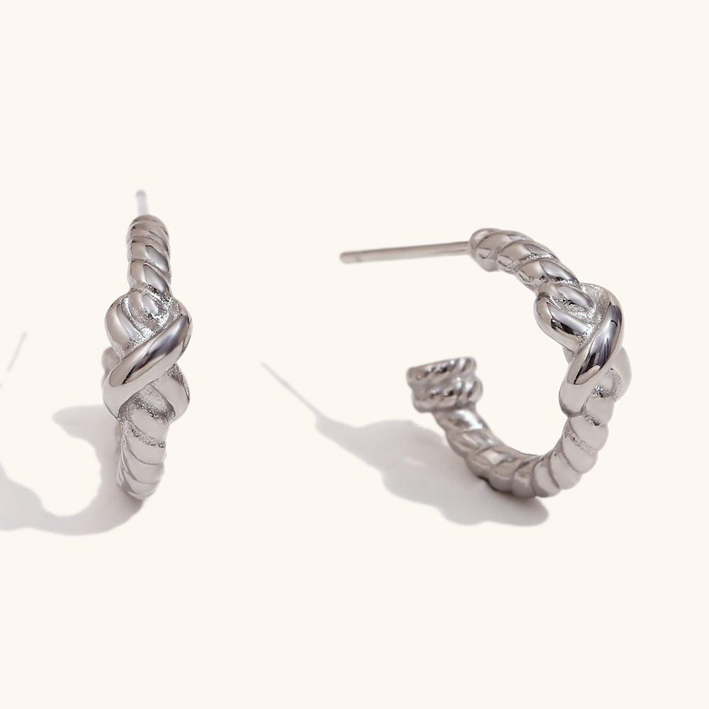 2:Spiral twisted small earrings-steel color