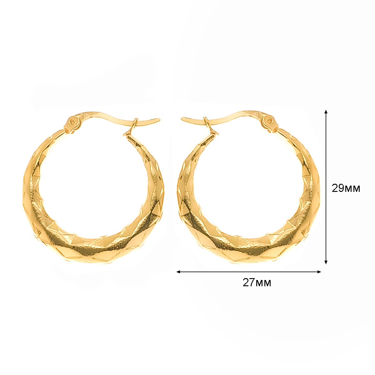 12:E0091 a pair of earrings