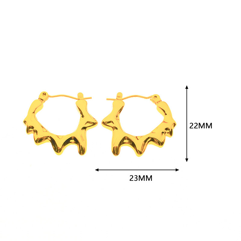 6:E00117 pair of stainless steel earrings