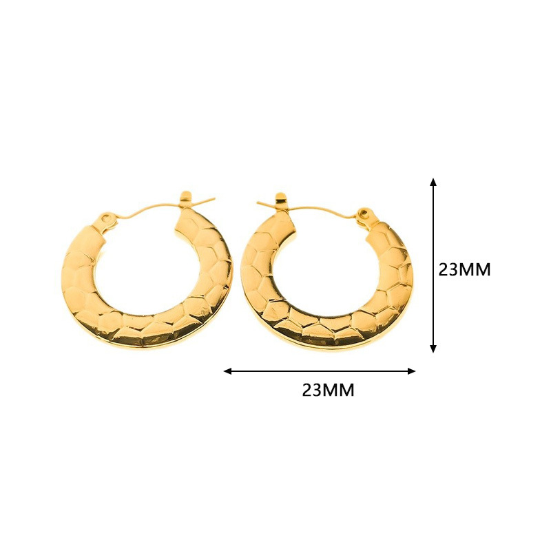 21:E00132 pair of stainless steel earrings