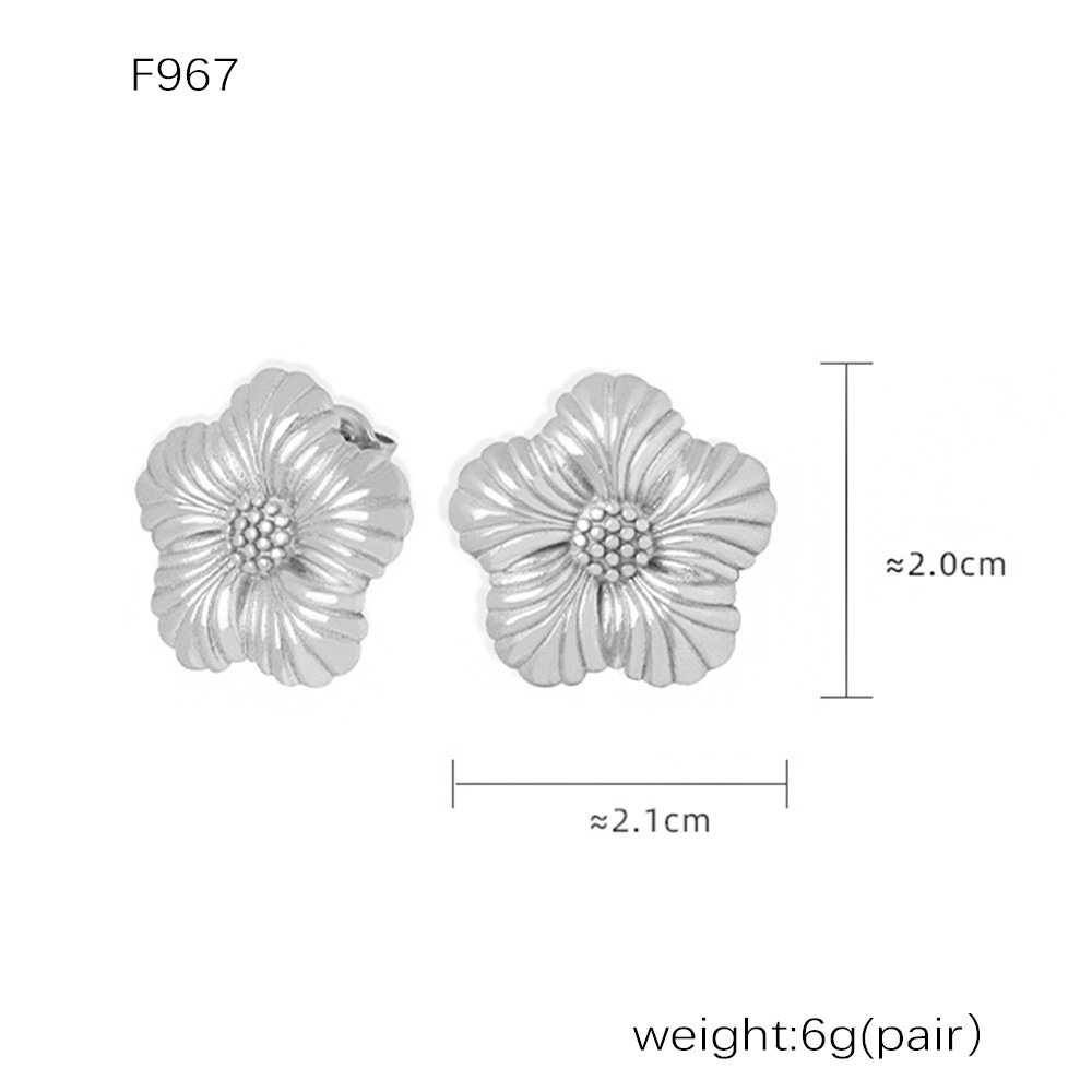 5:F967-steel color earrings