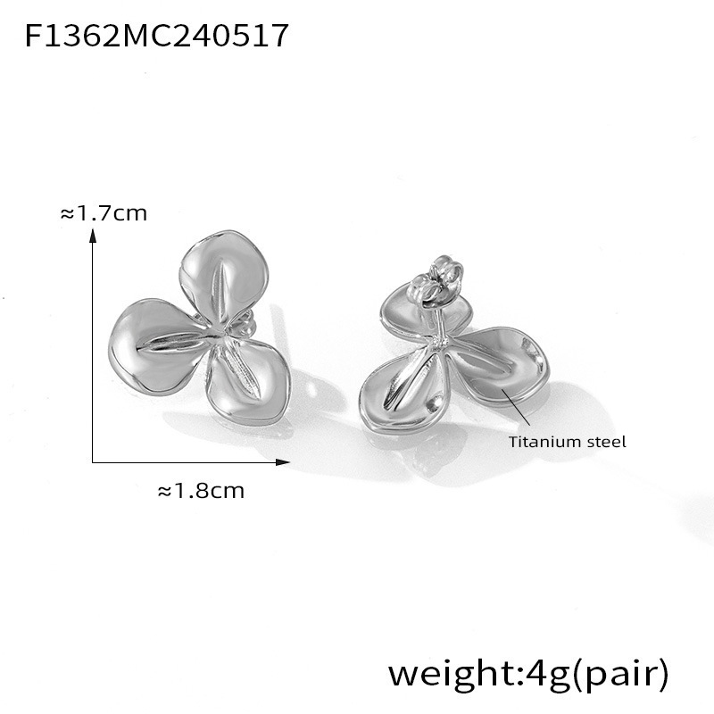 11:F1362-steel color earrings