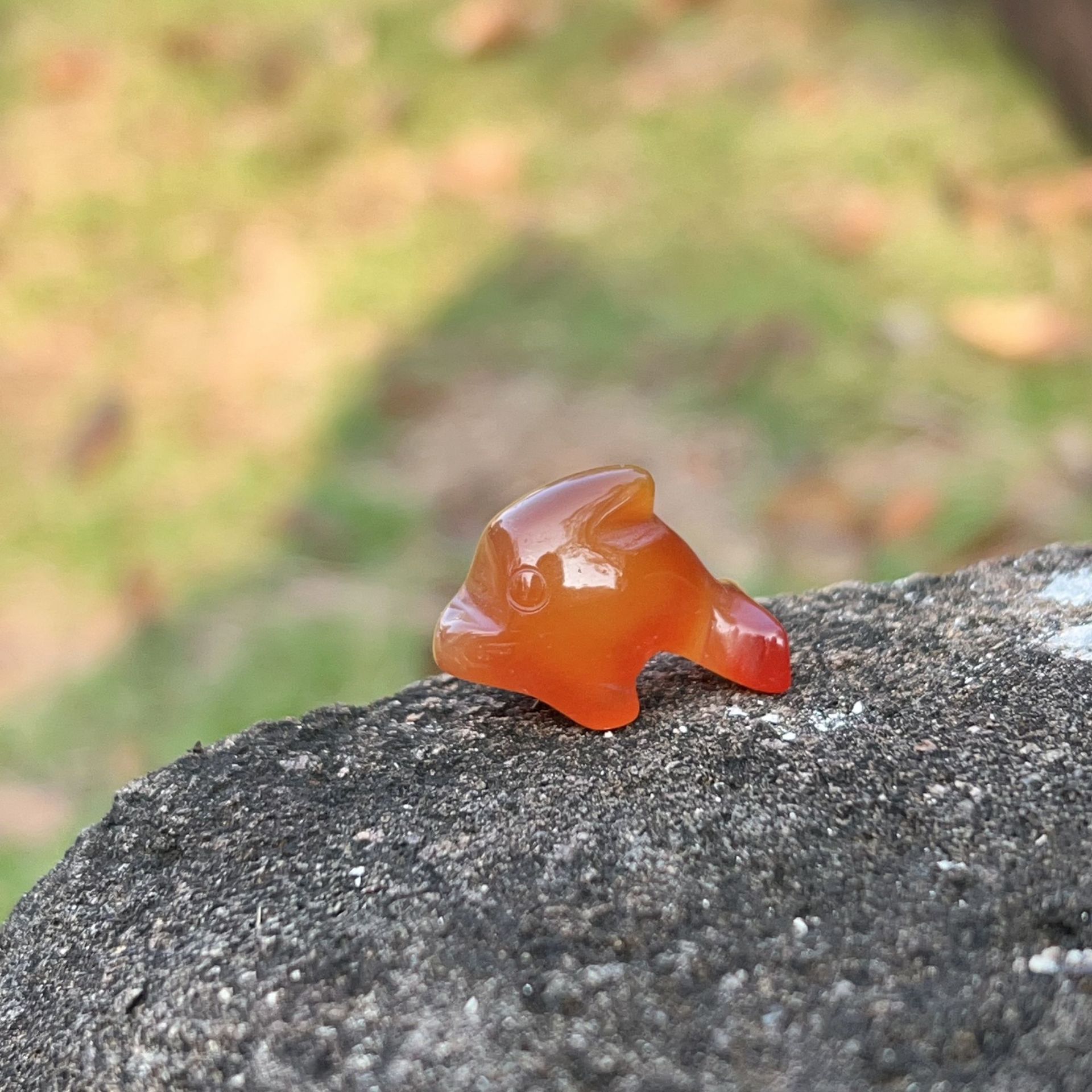 6:Red agate