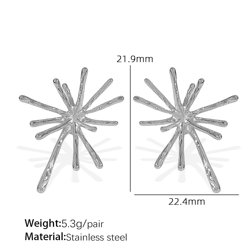 2:Eh823 silver earrings