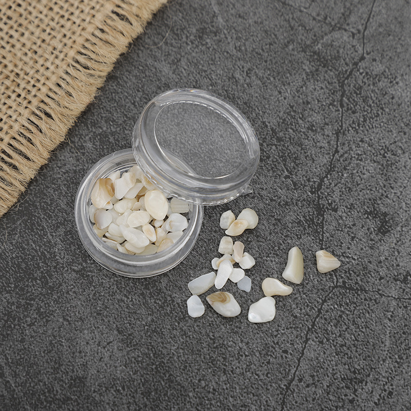 shell