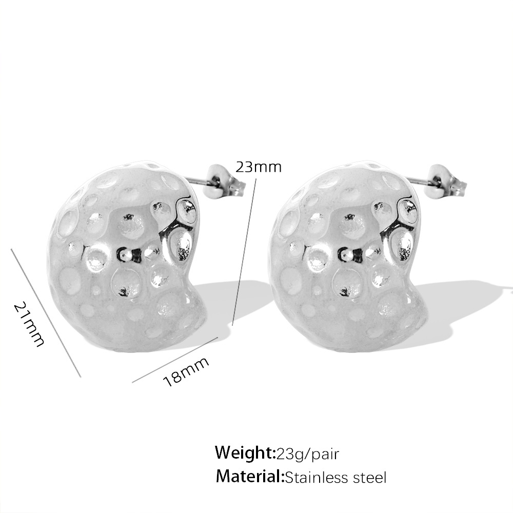 1:EH237 steel earrings