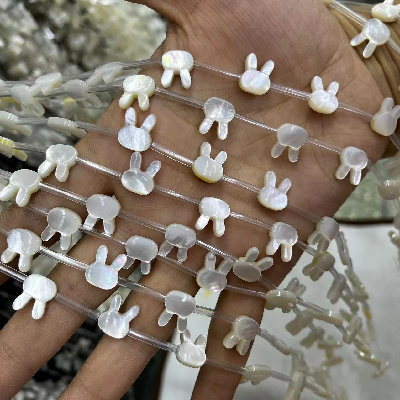 White Lip Shell 10*12MM