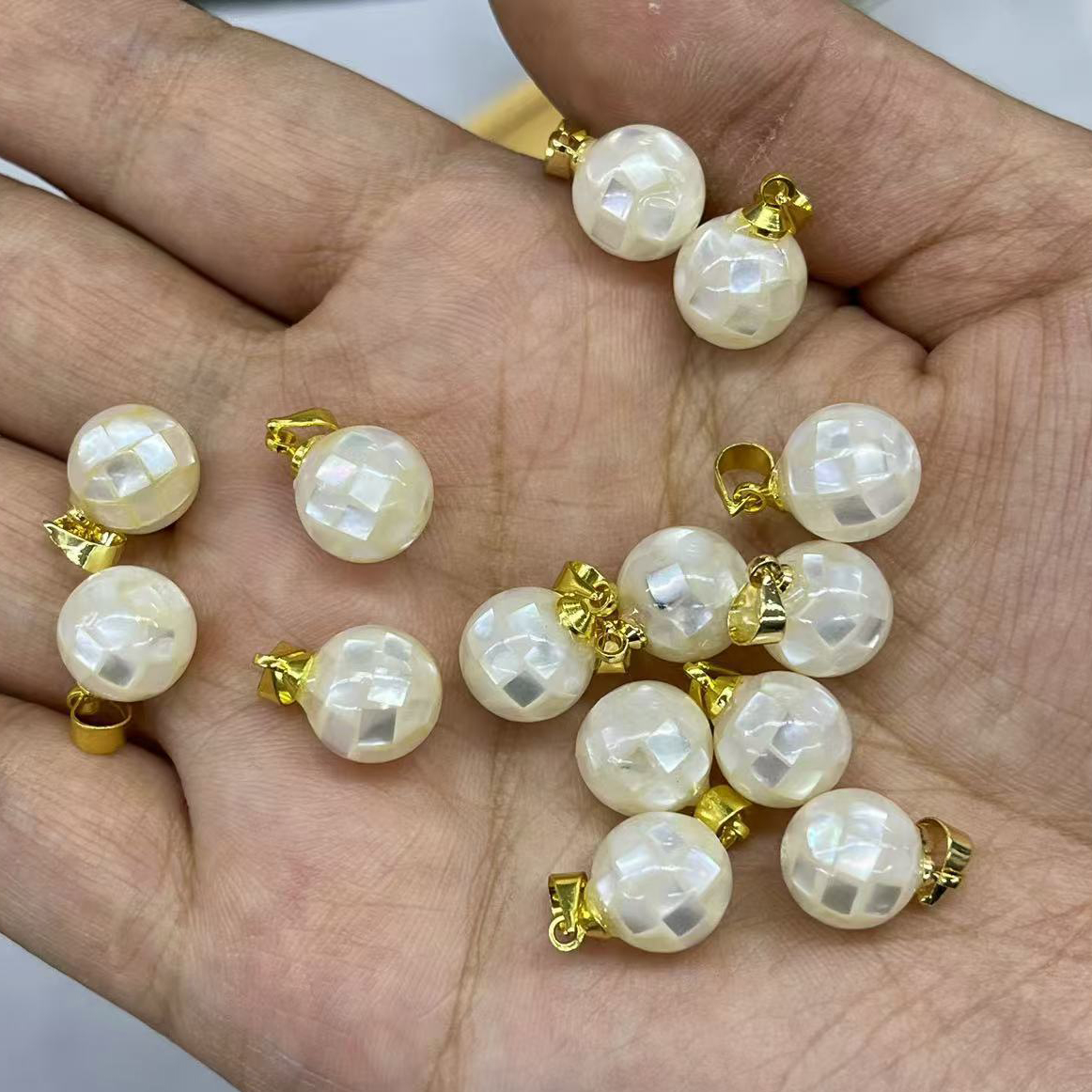 1:White butterfly shell