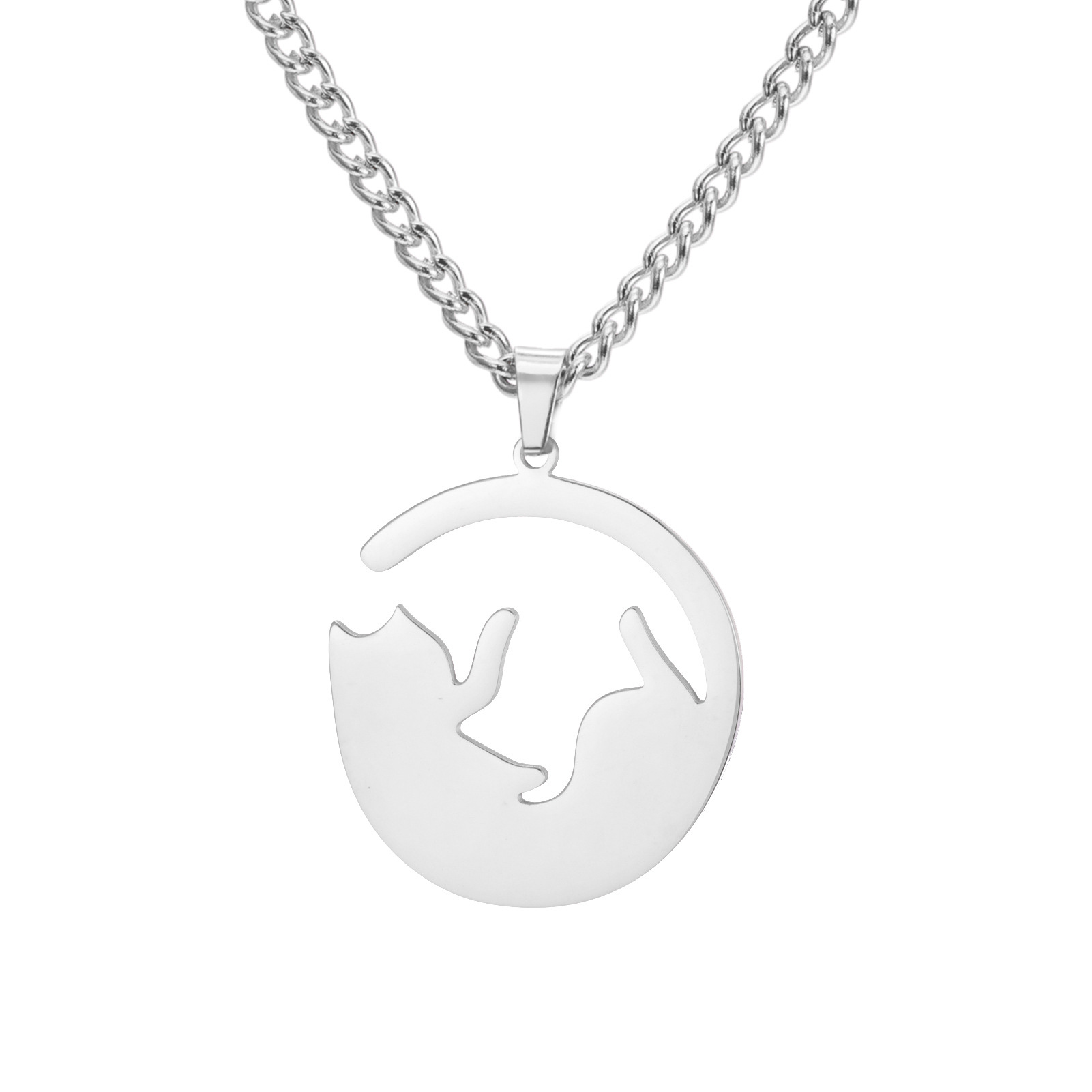 11:Steel color turning belly kitten